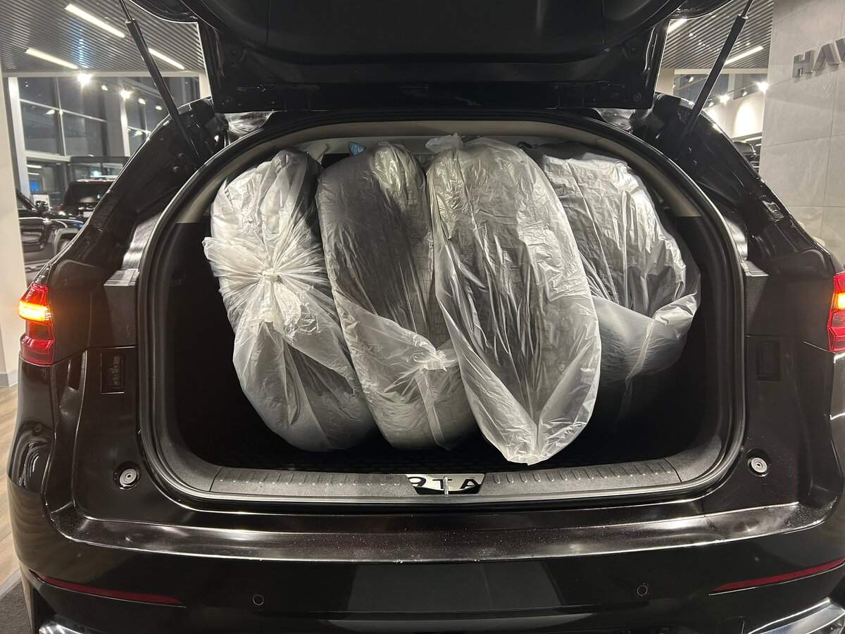 Haval F7, 2020 Фото №8